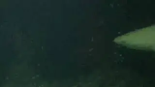 Ozen m6m underwater Restaurant Maldives