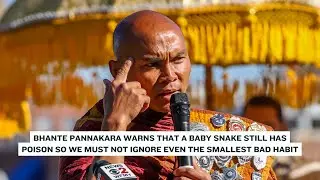 Day 87 Bhante Pannakara warns that a baby snake still has poison so we must not play with small sins