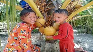 Rural Life/ Living on the Farm/ Smart Kids Grow Flowers/ Drink Coconut Water