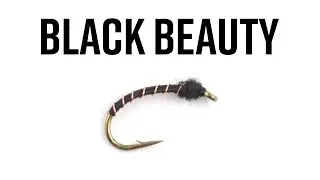 Black Beauty
