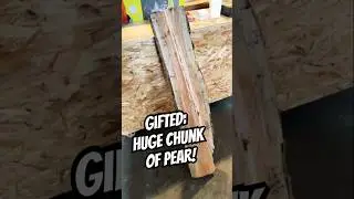Gifted a huge chunk of pear wood for making bowls! #woodworking #woodscraft #lathe #diy #pear #fruit