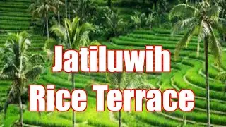 Heaven on Earth in Bali - Jatiluwih Rice Terraces UNESCO World Cultural Heritage Site