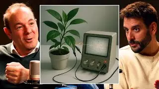 El Sorprendente Experimento de la Planta que Demostró que Todo Está Conectado