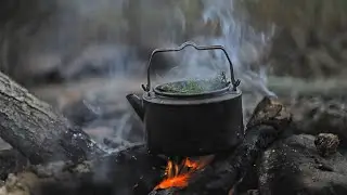Bushcraft in Sweden: Chanterelles . Juniper Tea & Fishing