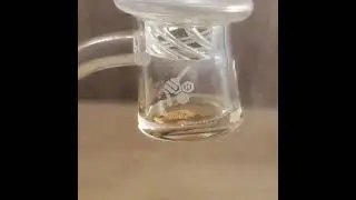 honeybee_herb