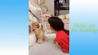 y2mate com   Cute Pets And Funny Animals Compilation #4   mr cat