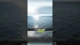 Самая опасная вещь в океане 🌊