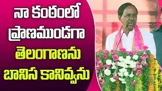 CM KCR Sensational Comments AP CM Chandrababu Naidu in Gajwel Public Meeting  |  Great Telangana TV