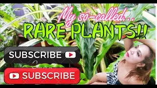 Rare Plants | Funny edition | House plant Tour