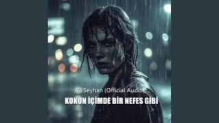 Ey Mavi Dokunuş &ndash; Ali Seyhan
