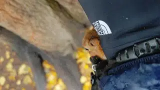 Когда плохая погода ☔🍁🤗 When there is a bad weather