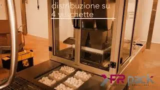 Peseuse associative - peseuse multi t&ecirc;tes automatique remplissage de barquettes - GNOCCHI FR PACK