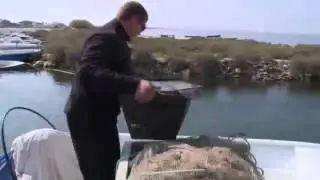 Extrait Epicerie fine : Les oursins de Sète. TV5 Monde Mai-14