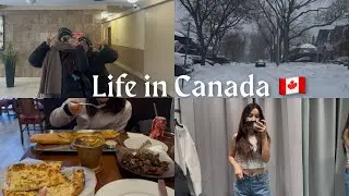Snowstorm ❄️ || Update from Canada 🇨🇦 || Tibetan Vlogger 