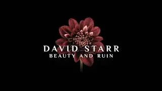Beauty and Ruin | David Starr