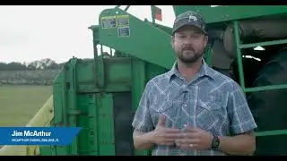Yielding the Proof - Cotton Varieties Made for the Southeast