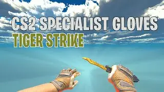 Specialist Gloves Tiger Strike Field-Tested | CS2 Skin Showcase #653