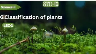 Std-IX SCIENCE-II 6.Classification of plants lec-1