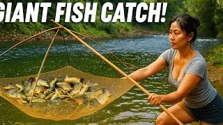 Beautiful Girl Makes a Giant Fish Trap From Bamboo.