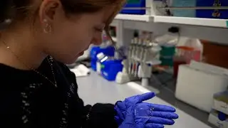 2025 STEAM Fellowship Research Focus: Sophia Foerster