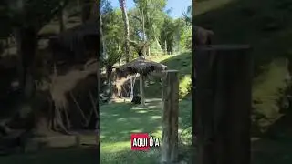 🌳 Ch&aacute;cara &agrave; Venda &ndash; Lagoa dos Ferreiras, Mandirituba/PR
