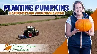 Episode 9 - Learn on the Farm - Planting Pumpkins