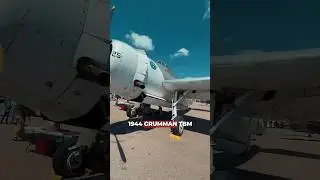 The Lucky Avenger: A WWII Plane's Unique Story