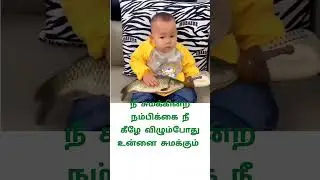 tamil#shortsvideo#animals#fish#reels#reel#siranM#trendingvideo#trending#cute baby