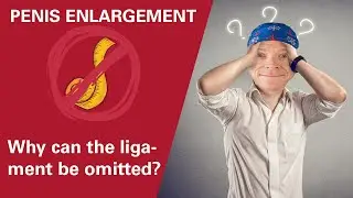 PENIS LENGTHENING: Why Can the Ligament Be Cut? | Dr. Spanholtz Explains