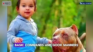 Dogs bonding with Kids #dog #kids #bonding #kidswithdogs