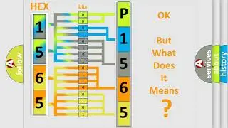 DTC Audi P1565 Short Explanation