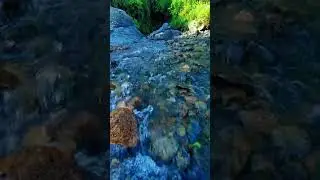 The River of Life #nature #relaxing #scenery #waterfall #river #CalmStream#RiverEscape
