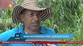 Atropello deja un muerto en Felipillo