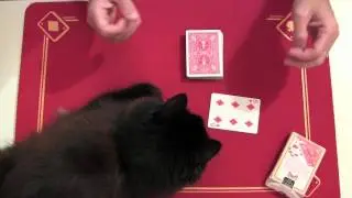 Truco de magia revelado - El revoltijo.