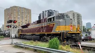 Heritage Unit! CP #7015 on CP 650 as it Rolls Off the Windsor Sub in London, Ontario.