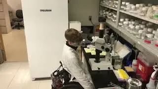 Lab Accessibility for Wheelchair Users