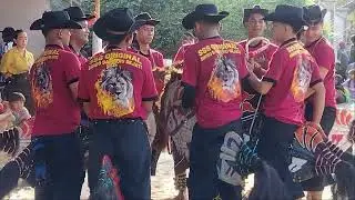 Seni Kuda Lumping Singo Saputro Sejati at Sukodadi