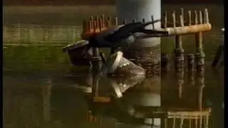 The Bait-Fishing Crow