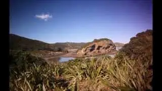 auckland westcoast