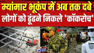 Myanmar Earthquake Disaster Update : म्यांमार भूकंप में अब तक दबे लोगों को ढूंढने निकले 'कॉकरोच'