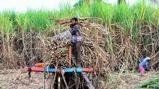 Yet another relief package for sugar companies before elections