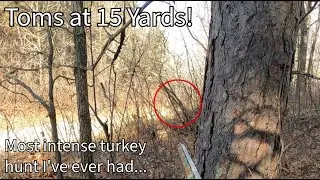 MN Turkey Hunting (3 Toms within 15 yards!)