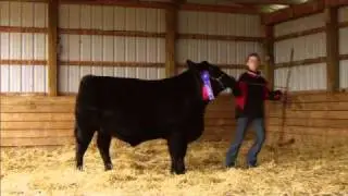 4-H Canada - What's in it for You