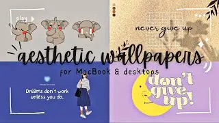 Laptop desktop cute wallpapers 🌼🦭| MACBOOK customisation 💗| Aesthetic wallpaper tutorial using CANVA