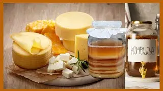Genius Way to Use KOMBUCHA Scoby for Vegan Cheese