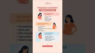 Pregnancy Symptoms Trimester Wise | Pregnancy 1st to 3rd Trimester | Pregnancy Guide