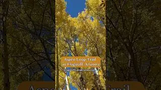 Aspen Loop Trail in Flagstaff, Arizona.  #flagstaff