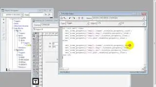 Oracle forms 10g: How to create  interactive check box