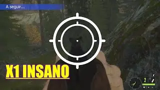 ABATI UM URSO NA FLORESTA CAÇANDO