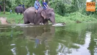 Mahout training for beginners